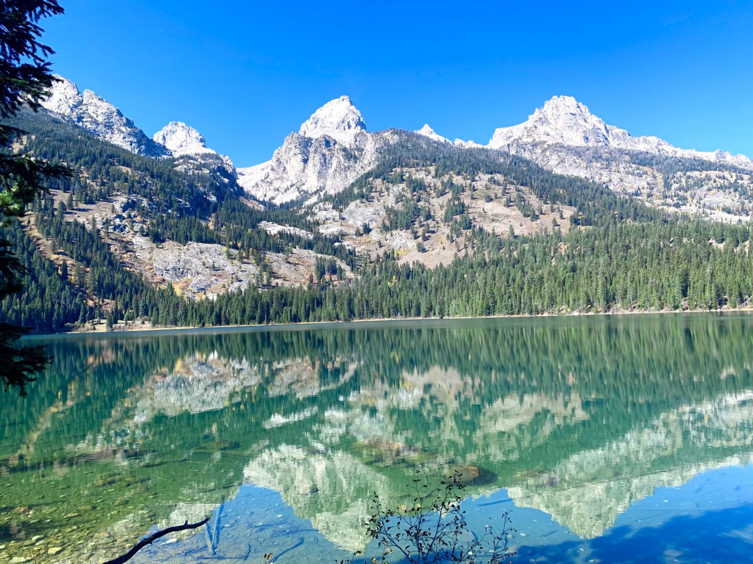 Yellowstone Vs Grand Teton Which One Is Right For You Traveling The Path