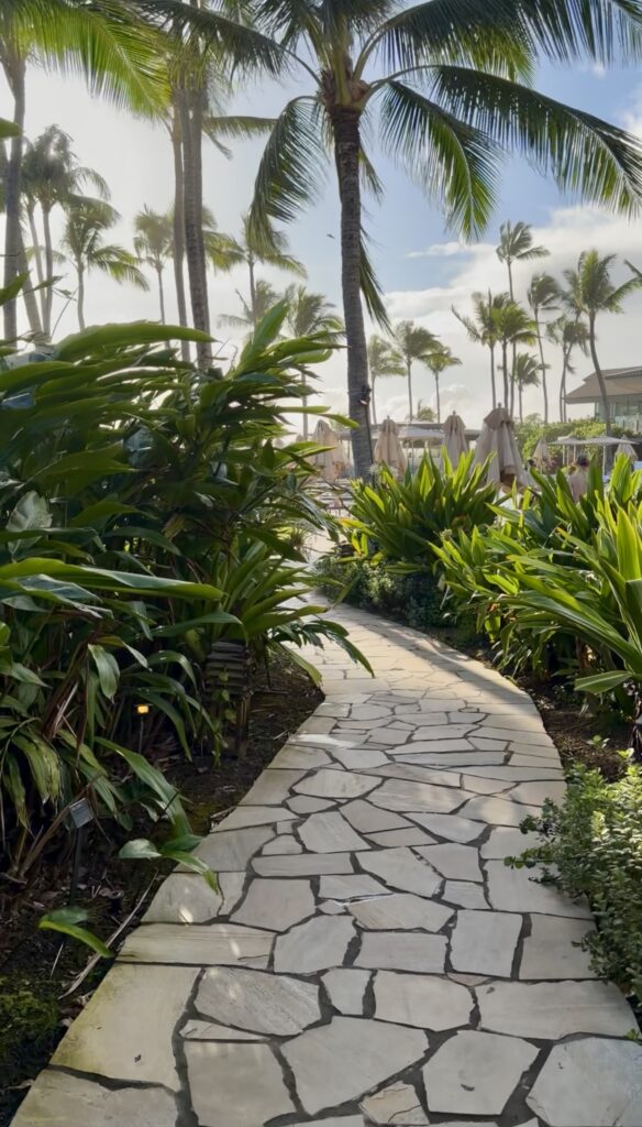 a winding path with beautiful tropical greenery and palm trees linning the way
